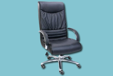 Director Chairs